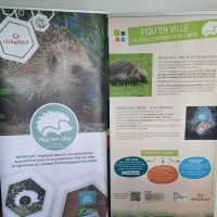 Piqu'en Ville