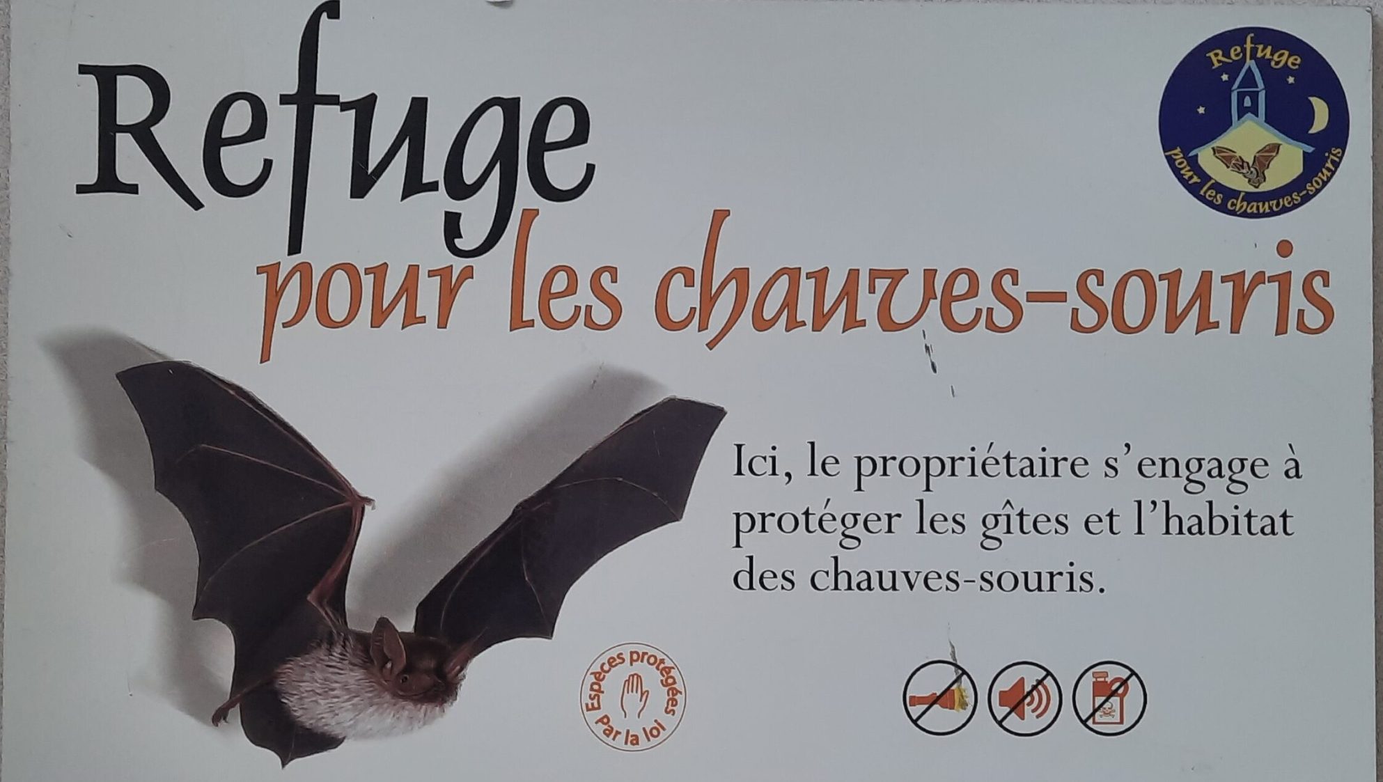Sans titre Sans titre